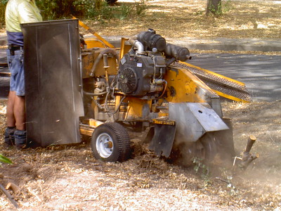 Stump Grinding Service Gaithersburg MD